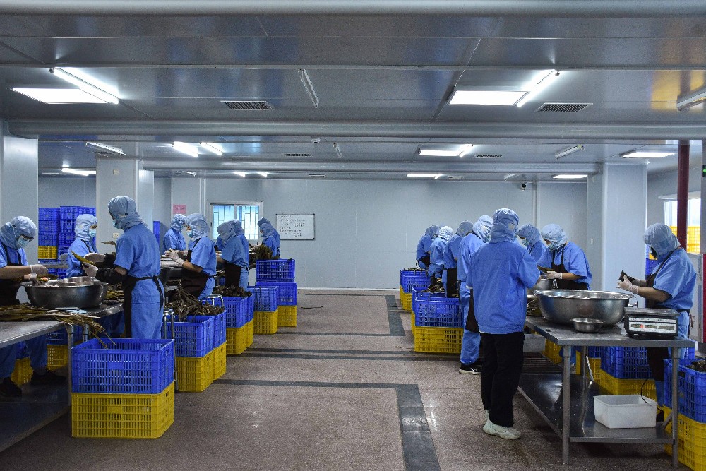 恩平编制粽工厂。